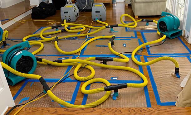 Professional Flood Damage Restoration technician working in Fort Dodge, IA